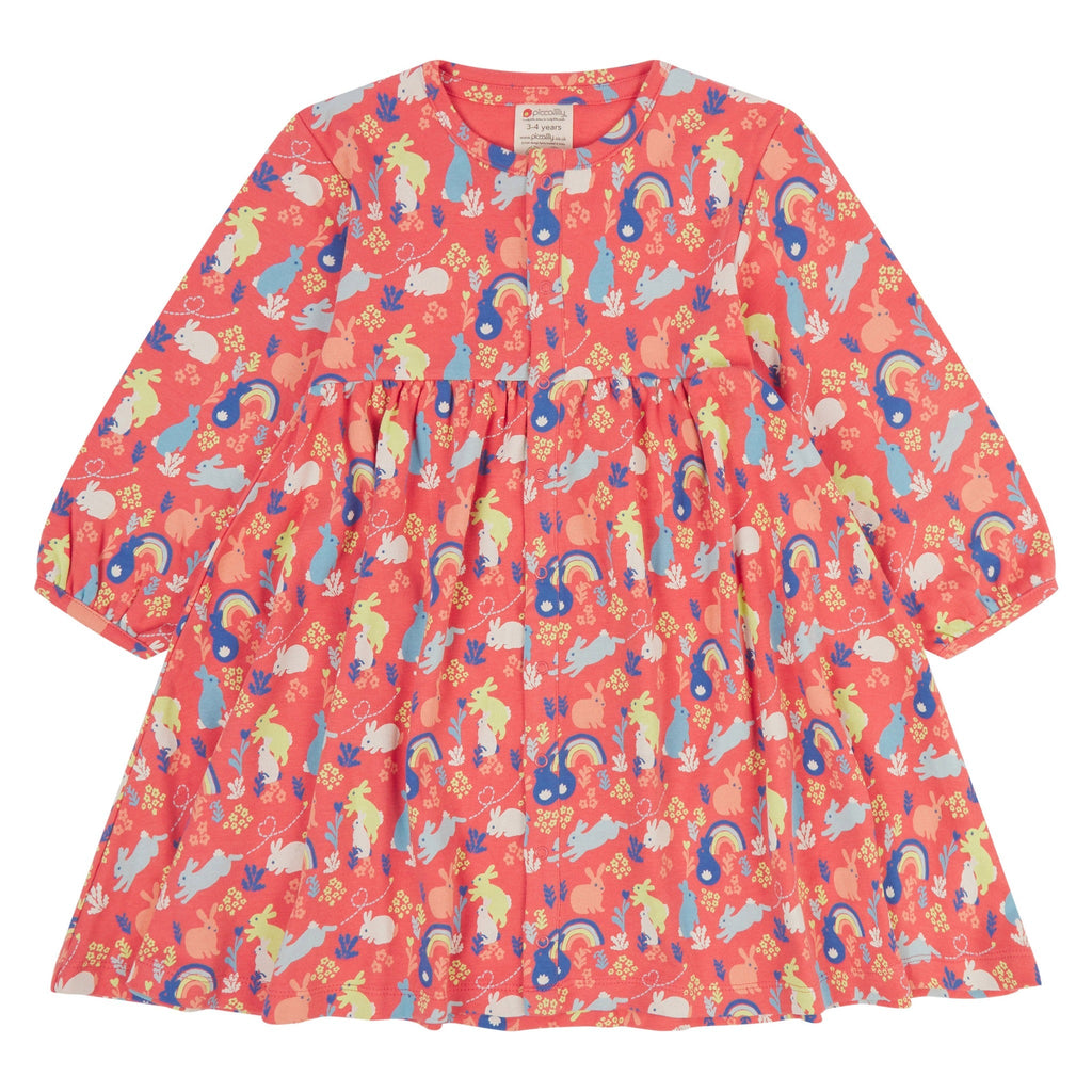Long sleeve dress- bunny hop